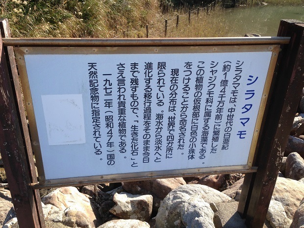 184.jpg