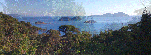 灯台.gif