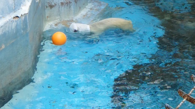 57.jpg